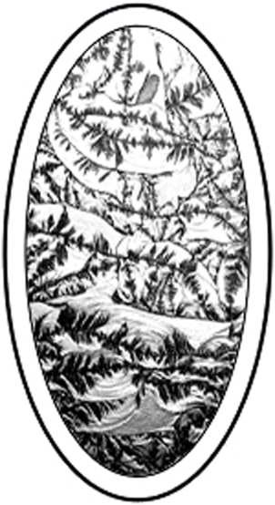 Runder Eisblumenbevel oval